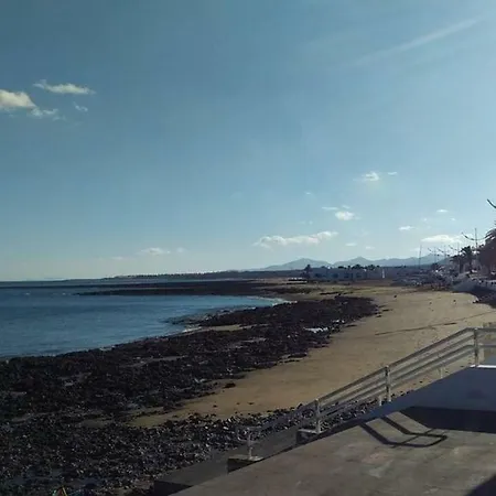 Flower 23 Apartament