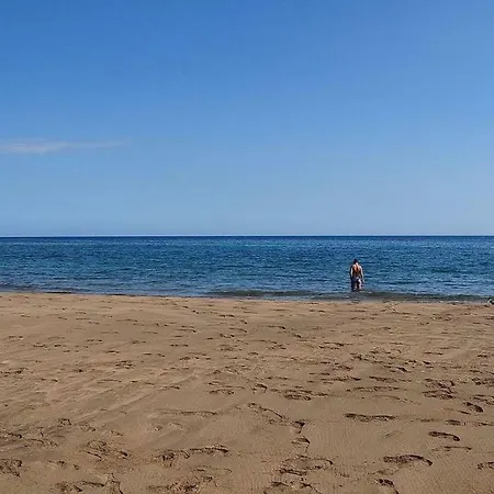 Flower 23 Apartament *