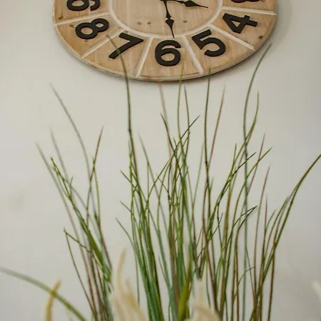 Apartment Flower 23