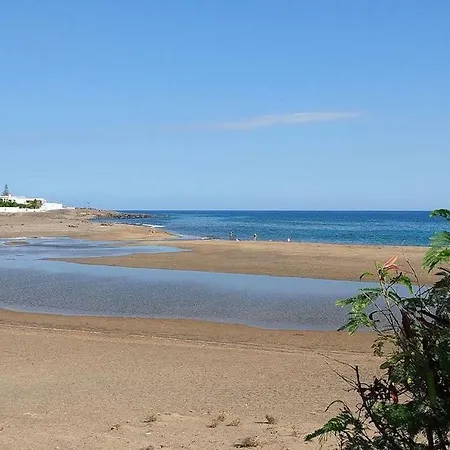 Flower 23 Apartament